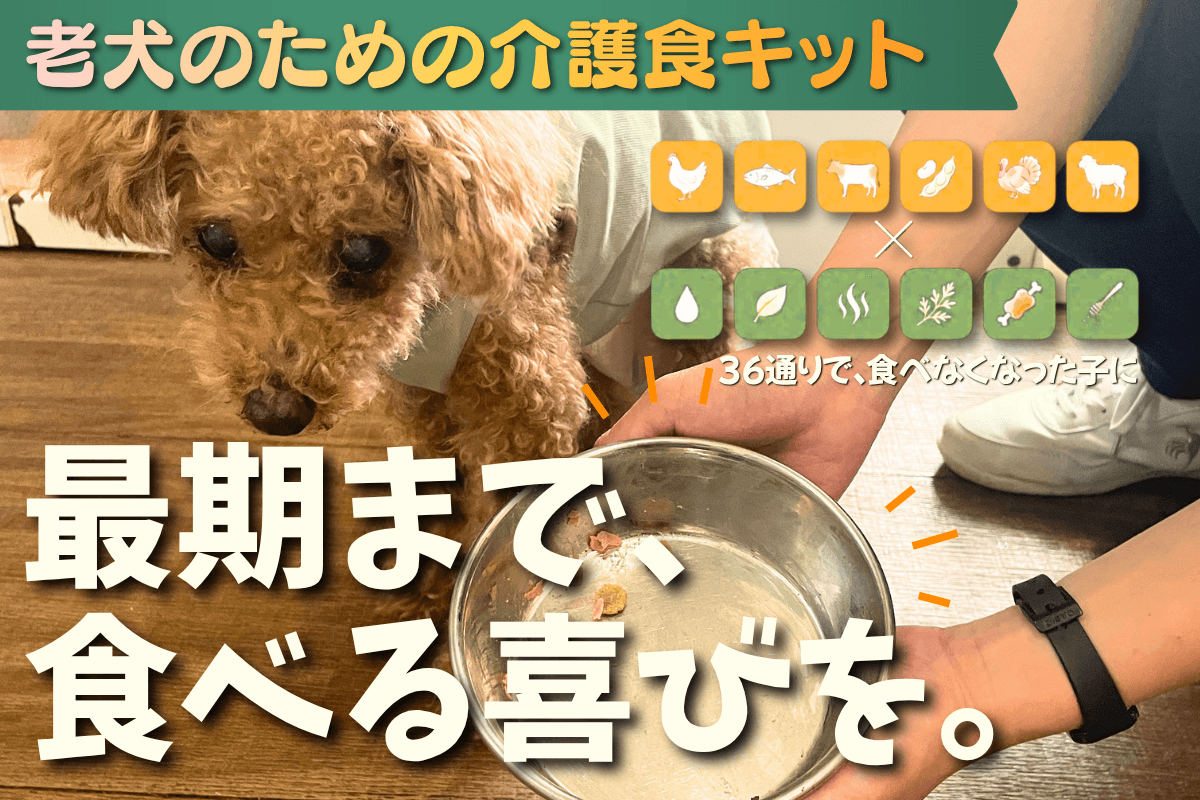 老犬のための介護食キット（クラウドファンディング）